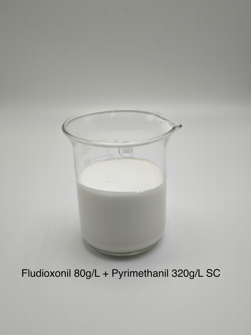 Fludioxonil 80g/L + Pyrimethanil 320g/L SC